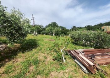 WhatsApp Image 2025-05-21 at 16.00.24 (4).jpeg - Terreno agricolo via monte palombino, Fonte Nuova - foto 19