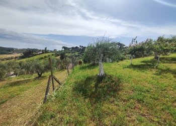 WhatsApp Image 2025-05-21 at 16.00.24.jpeg - Terreno agricolo via monte palombino, Fonte Nuova - foto 20