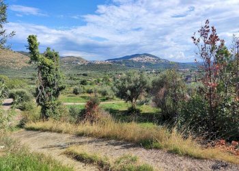 WhatsApp Image 2024-09-12 at 10.11.01 (3).jpeg - Terreno agricolo via col di mezzo, Guidonia Montecelio - foto 4