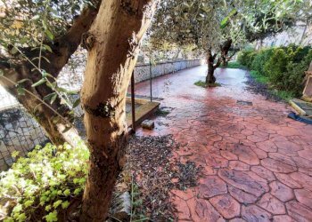 WhatsApp Image 2026-02-05 at 10.31.47 (3).jpeg - Trilocale via niccolò tommaseo 51, Guidonia Montecelio - foto 9