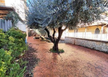 WhatsApp Image 2026-02-05 at 10.31.47.jpeg - Trilocale via niccolò tommaseo 51, Guidonia Montecelio - foto 10