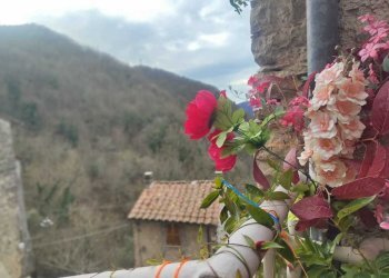 WhatsApp Image 2025-01-20 at 10.23.51 (6).jpeg - Monolocale via montecastello, Percile - foto 5