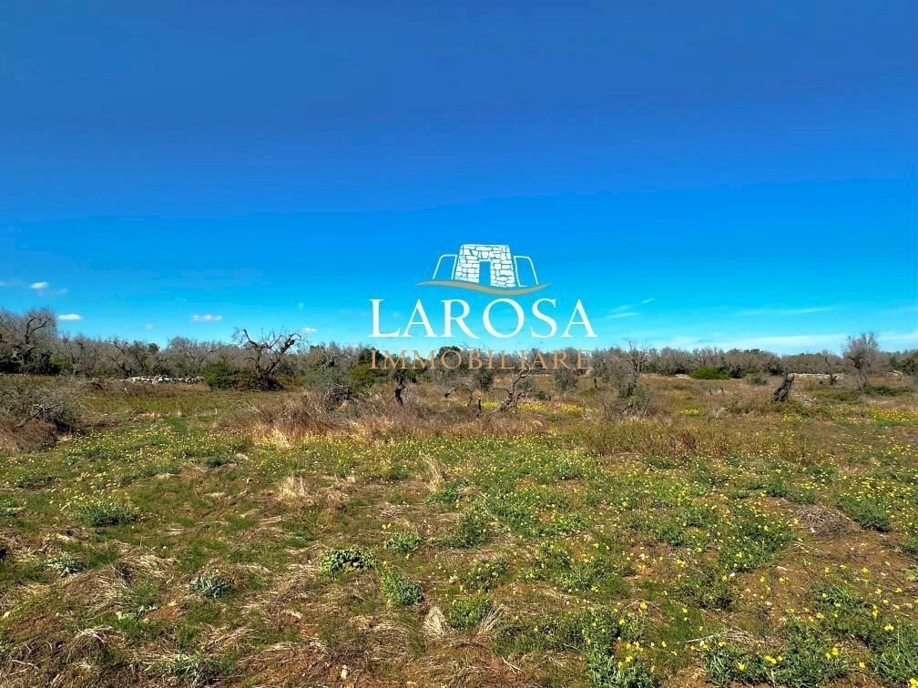 18.jpg - Agricultural land via euterpe, Melendugno - photo 1