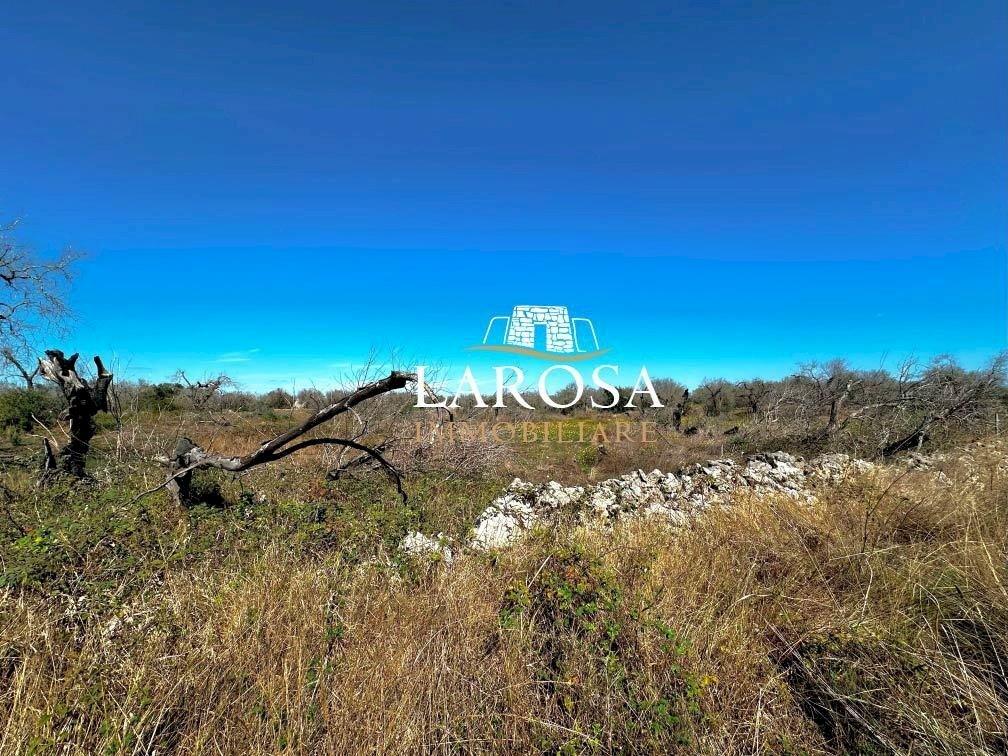 2.jpg - Agricultural land via euterpe, Melendugno - photo 3