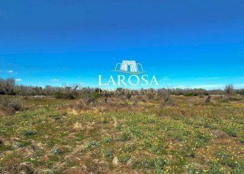 18.jpg - Agricultural land via euterpe, Melendugno - photo 1