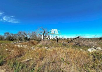 1.jpg - Agricultural land via euterpe, Melendugno - photo 2