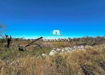 2.jpg - Agricultural land via euterpe, Melendugno - photo 3