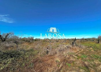 3.jpg - Agricultural land via euterpe, Melendugno - photo 4