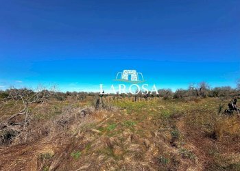 4.jpg - Agricultural land via euterpe, Melendugno - photo 5