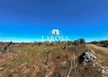 5.jpg - Agricultural land via euterpe, Melendugno - photo 6