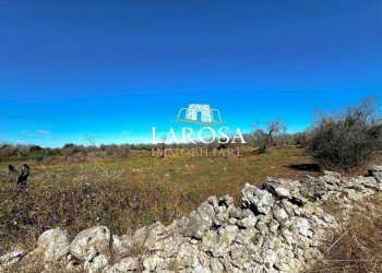 6.jpg - Agricultural land via euterpe, Melendugno - photo 7