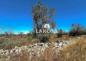 8.jpg - Agricultural land via euterpe, Melendugno - photo 9