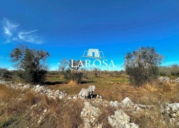 9.jpg - Agricultural land via euterpe, Melendugno - photo 10