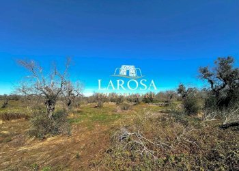 12.jpg - Agricultural land via euterpe, Melendugno - photo 13