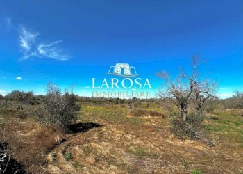 13.jpg - Agricultural land via euterpe, Melendugno - photo 14