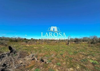 14.jpg - Agricultural land via euterpe, Melendugno - photo 15