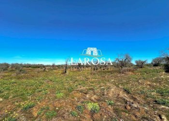 15.jpg - Agricultural land via euterpe, Melendugno - photo 16