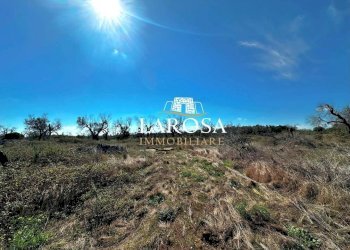 16.jpg - Agricultural land via euterpe, Melendugno - photo 17