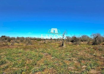 19.jpg - Agricultural land via euterpe, Melendugno - photo 19