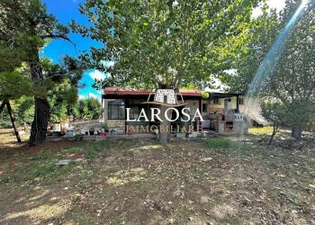 29.jpg - Villa Viale Delfino 30, Melendugno - foto 29