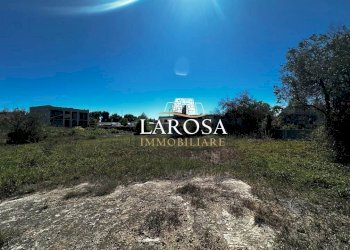 3.jpg - Agricultural land Via Vittorio Bodini 33, Melendugno - photo 10