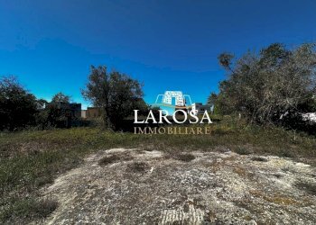 4.jpg - Agricultural land Via Vittorio Bodini 33, Melendugno - photo 11