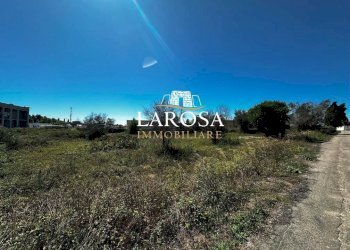 10.jpg - Agricultural land Via Vittorio Bodini 33, Melendugno - photo 17