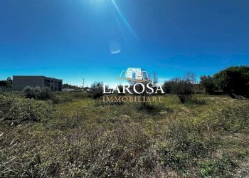 11.jpg - Agricultural land Via Vittorio Bodini 33, Melendugno - photo 18