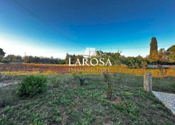 3.jpg - Independent house Melendugno - photo 3