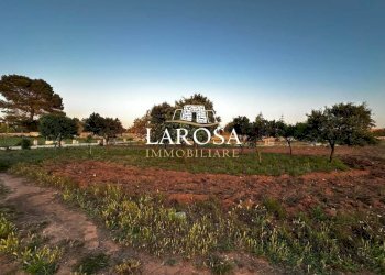 19.jpg - Independent house Melendugno - photo 19