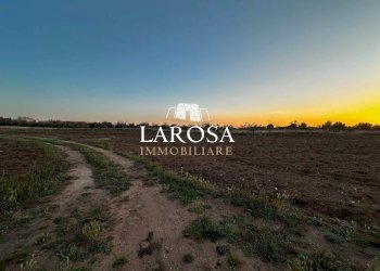 20.jpg - Independent house Melendugno - photo 20