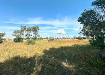 1.jpg - Villa Lizzanello - foto 6