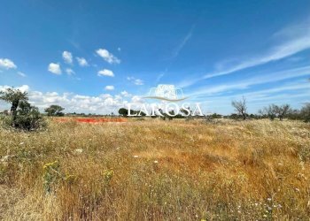 5.jpg - Villa Lizzanello - foto 9