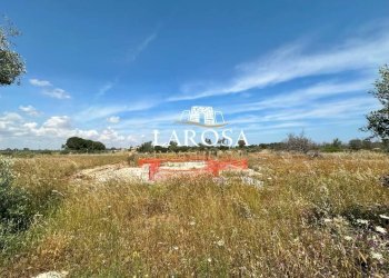 6.jpg - Villa Lizzanello - foto 10