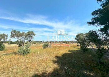 7.jpg - Villa Lizzanello - foto 11