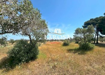 8.jpg - Villa Lizzanello - foto 12