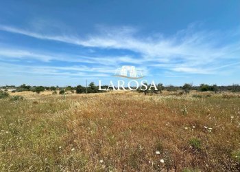 13.jpg - Villa Lizzanello - foto 17