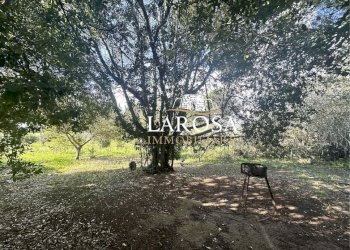 7.jpg - Villa Melendugno - foto 7