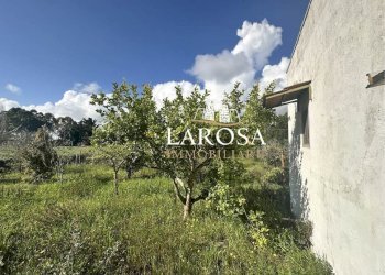 8.jpg - Villa Melendugno - foto 8