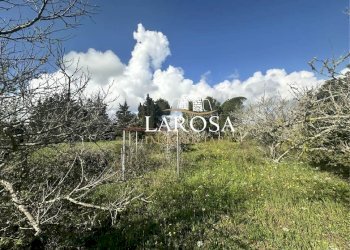 9.jpg - Villa Melendugno - foto 9