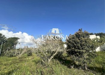 11.jpg - Villa Melendugno - foto 11