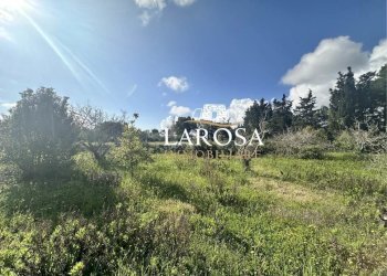 13.jpg - Villa Melendugno - foto 13