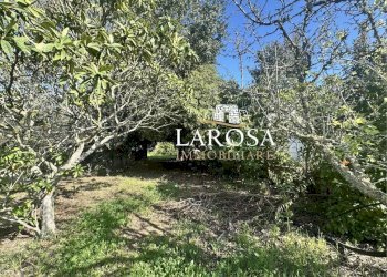 14.jpg - Villa Melendugno - foto 14