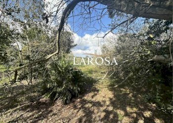 15.jpg - Villa Melendugno - foto 15