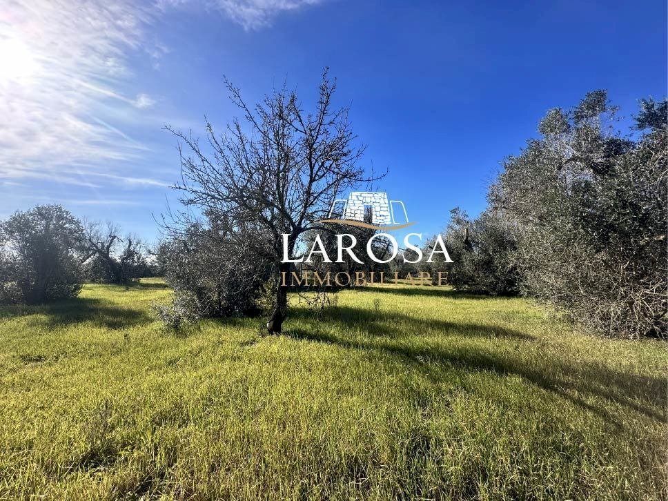 2.jpg - Agricultural land Via Vicinale Mancarella 3, Melendugno - photo 1