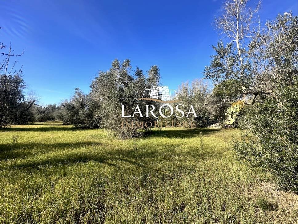 3.jpg - Agricultural land Via Vicinale Mancarella 3, Melendugno - photo 3