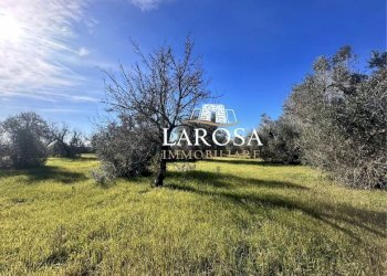 2.jpg - Agricultural land Via Vicinale Mancarella 3, Melendugno - photo 1