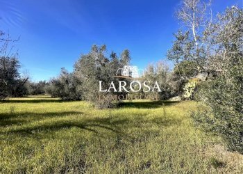 3.jpg - Agricultural land Via Vicinale Mancarella 3, Melendugno - photo 3