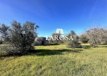 4.jpg - Agricultural land Via Vicinale Mancarella 3, Melendugno - photo 4