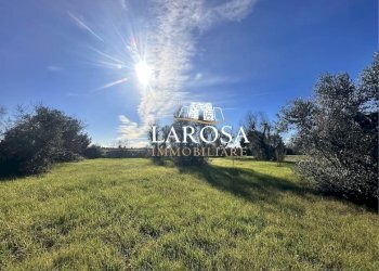 5.jpg - Agricultural land Via Vicinale Mancarella 3, Melendugno - photo 5